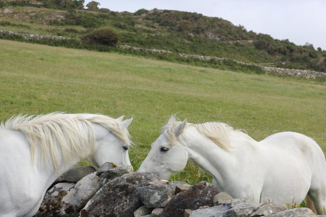 Clifden Bay Lodge Екстер'єр фото