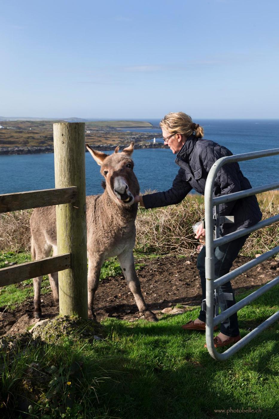 Clifden Bay Lodge Екстер'єр фото